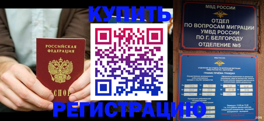 прописка 2025 в Губахе